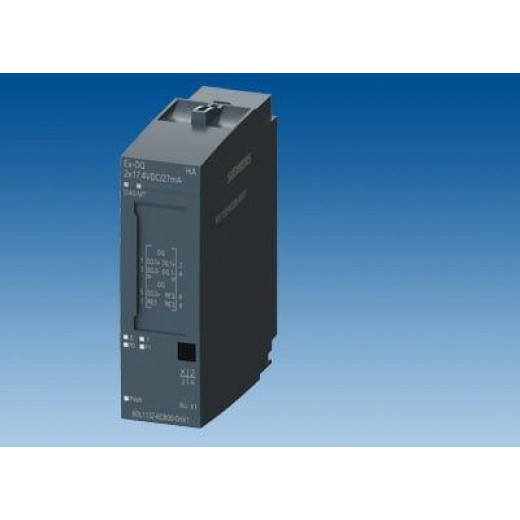 6DL1132-6CB00-0HX1