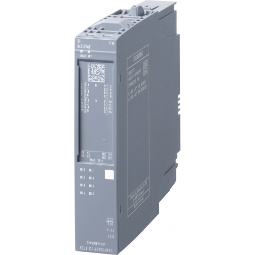 6DL1131-6GF00-0PK0